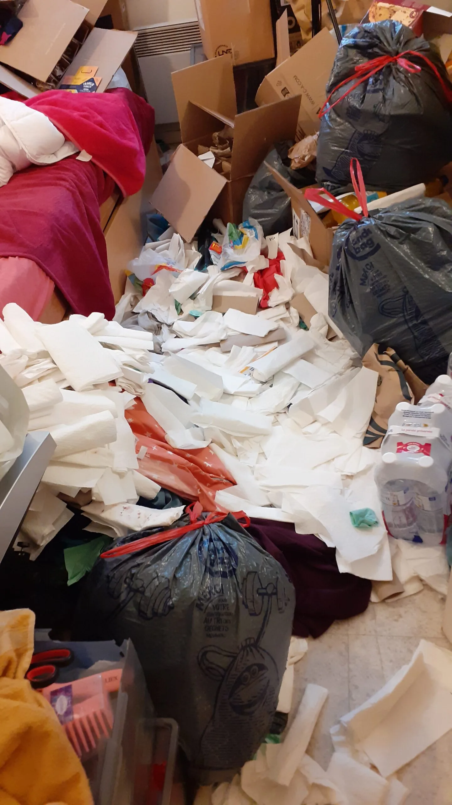 Quels conseils pour réduire les risques d'infestation dans son logement ? Quels conseils pour réduire les risques d’infestation dans son logement ?