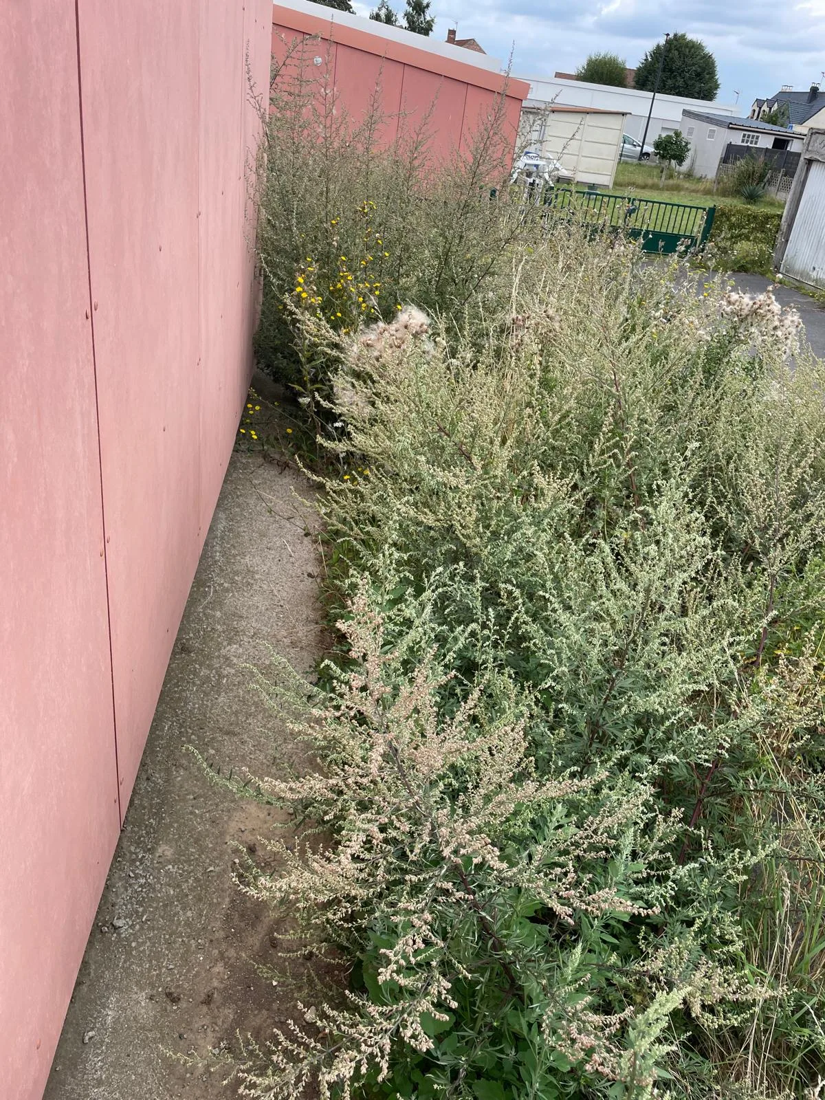 Quelles sont les étapes d’un nettoyage après décès dans une maison avec étage et jardin à Saint-Maur-des-Fossés ? Quelles sont les étapes d’un nettoyage après décès dans une maison avec étage et jardin à Saint-Maur-des-Fossés ?