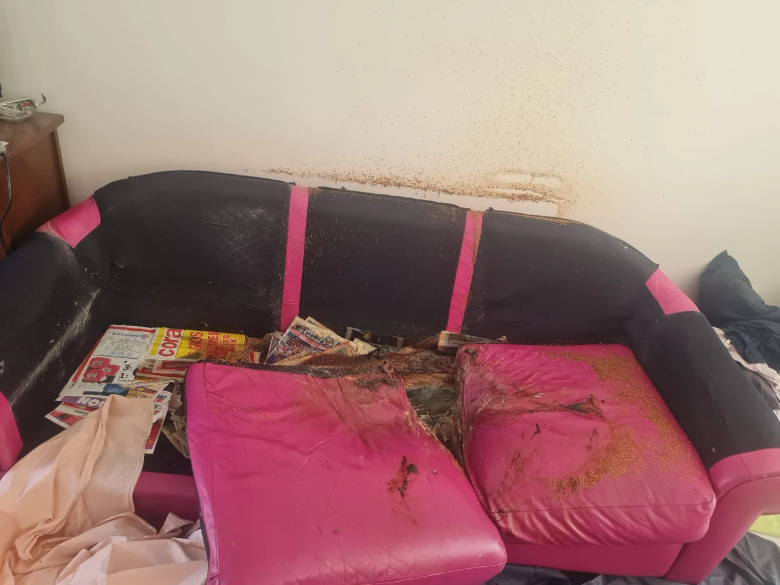 Comment se passe le débarras d’un appartement Diogène plein du sol au plafond à Saint-Maur-des-Fossés et dans les villes environnantes ? Comment se passe le débarras d’un appartement Diogène plein du sol au plafond à Saint-Maur-des-Fossés et dans les villes environnantes ?